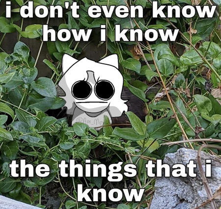 Original pic from a possum meme